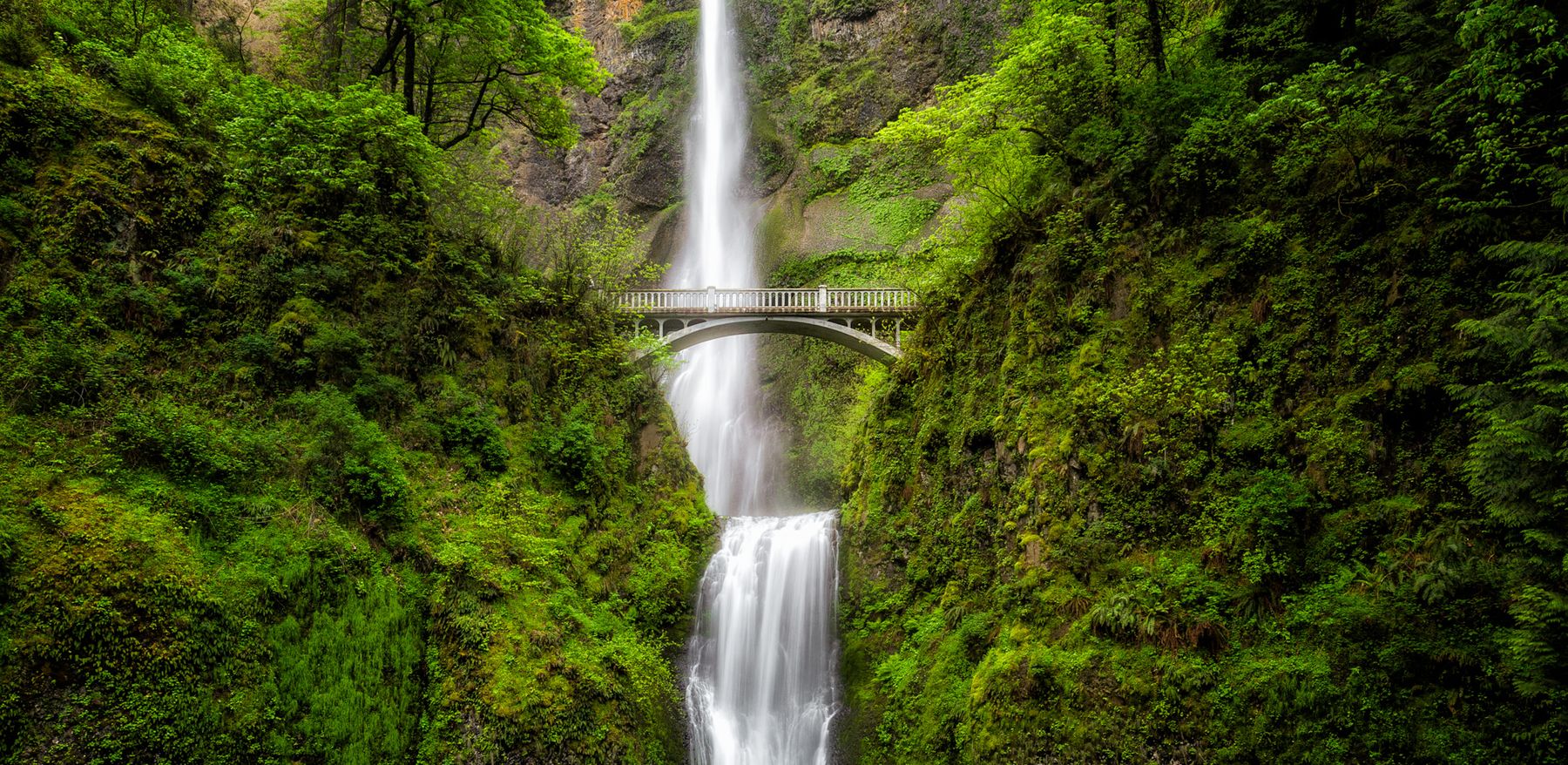 Multnomah Falls with its stone footbridge in green forest