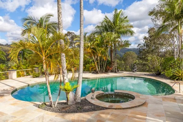 Curved pool and spa ringed by palms, with green hills behind