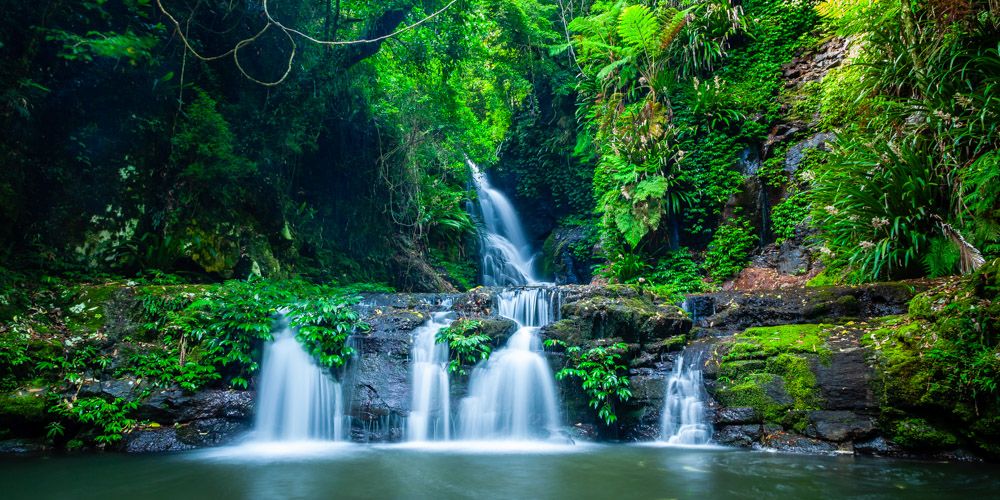 Elabana Falls cascading over mossy rocks in rainforest